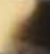 gelb
