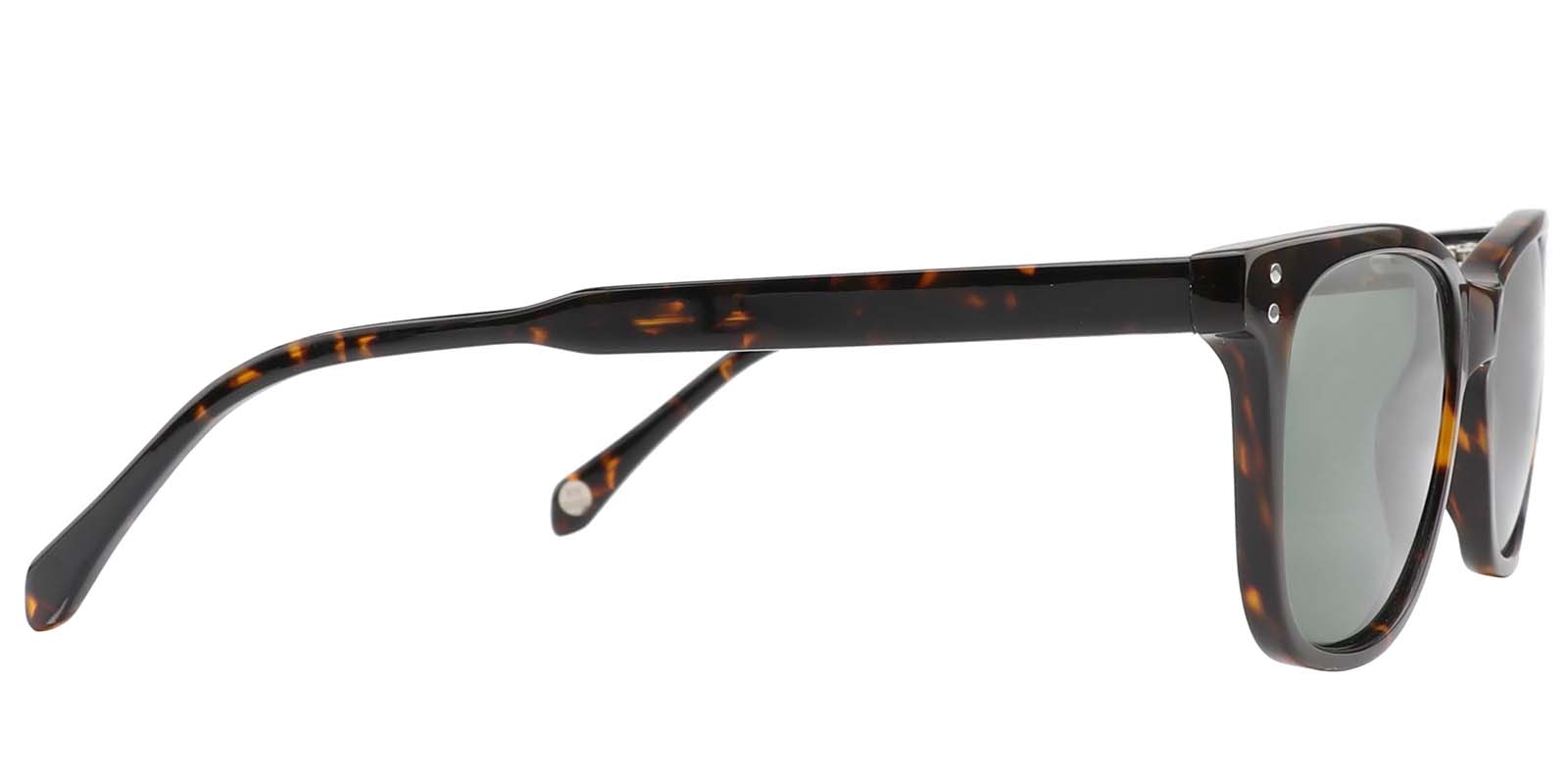 EYE8003S-Grefor-schildpatt