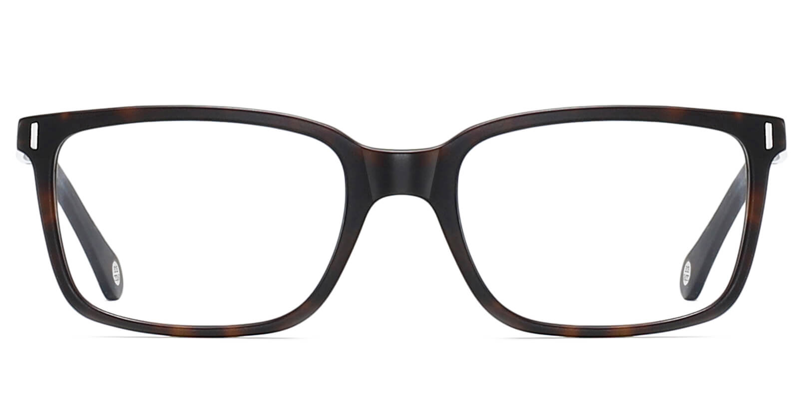 EYE8025-Xaver-braun