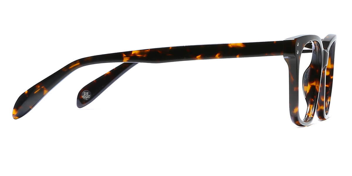 EYE8001-1-Dorian-schildpatt