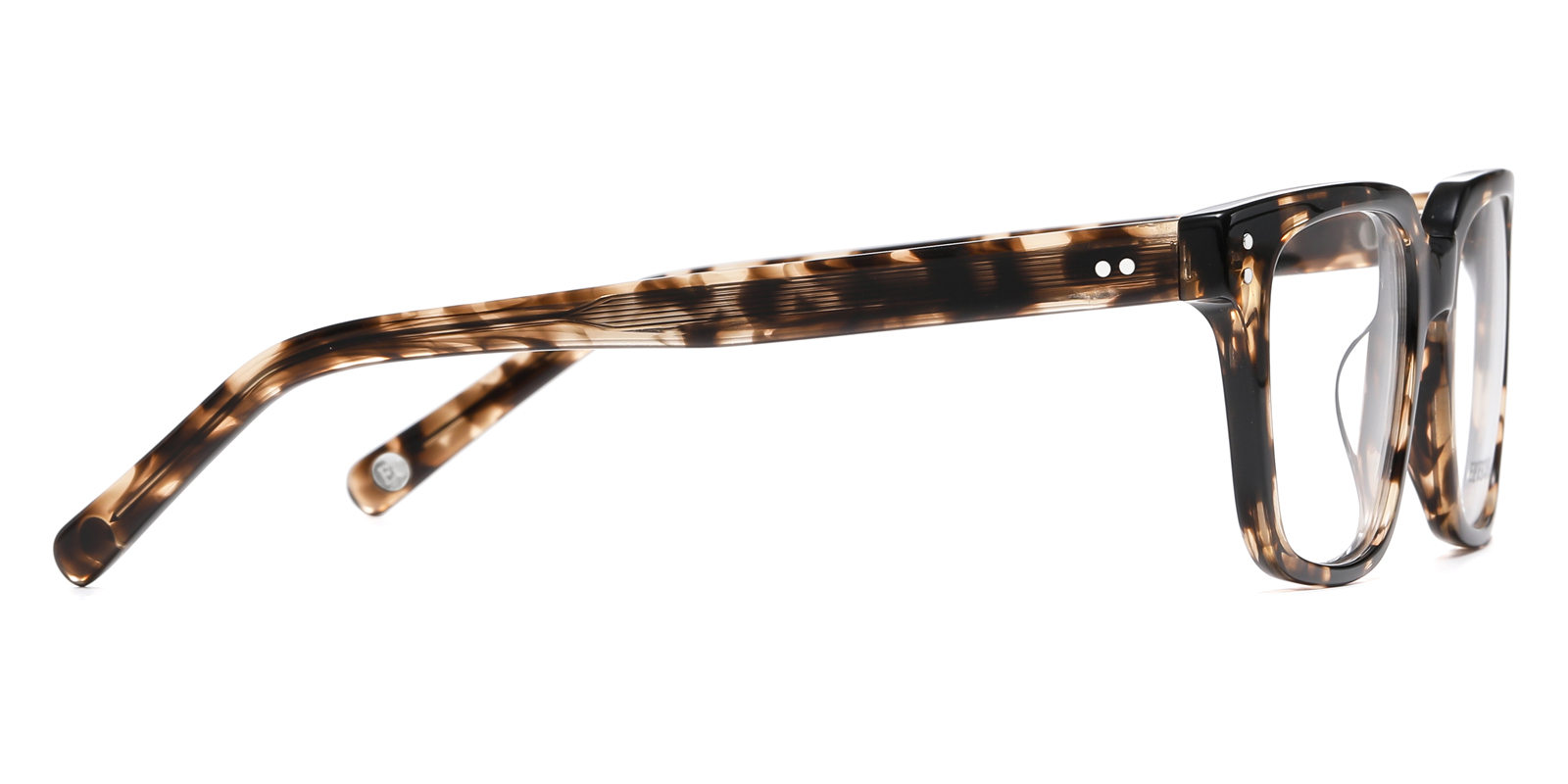 8776TL-Faro-schildpatt