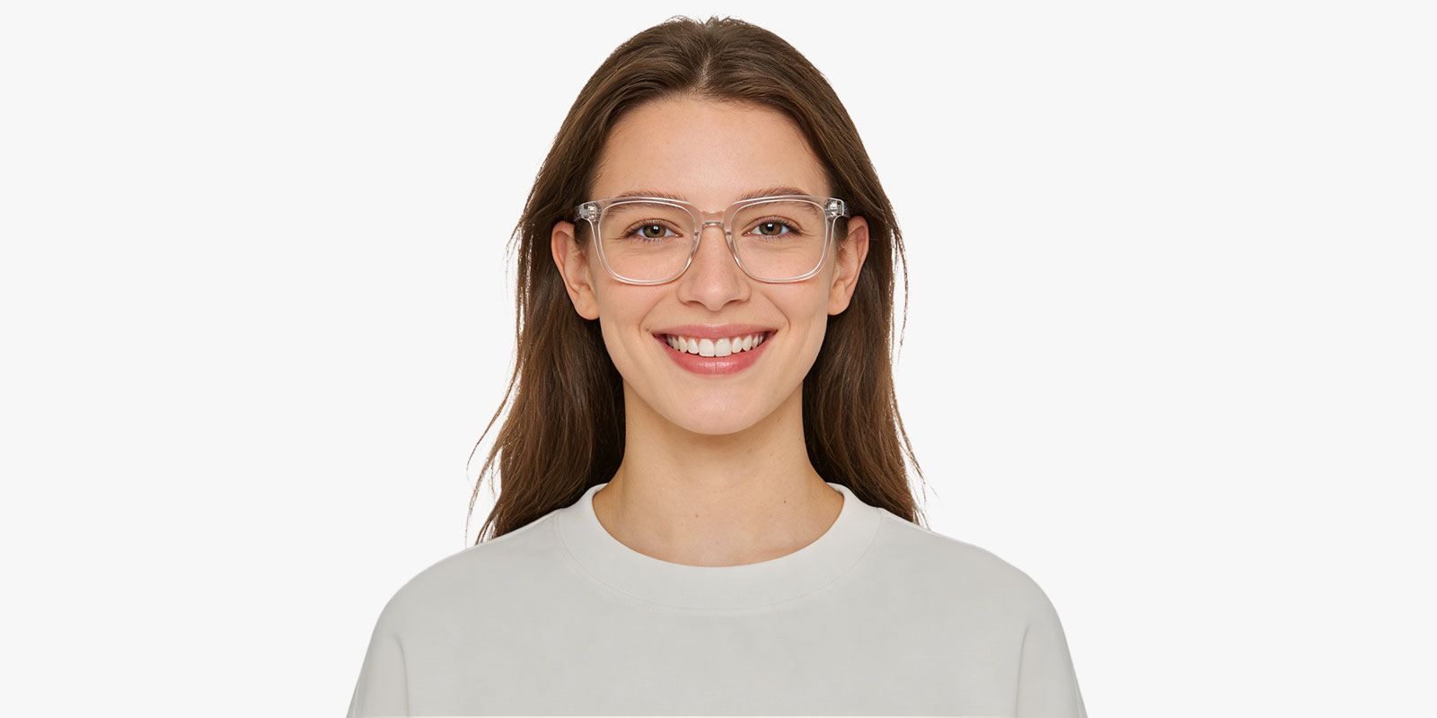 8986CL-Ogens-transparent_pc_2