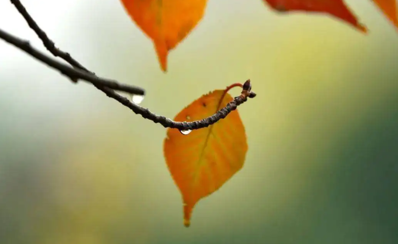 Welche Brille tragen Sie im Herbst?